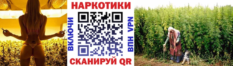 Все наркотики Шарыпово Альфа ПВП  Канабис  АМФ  Кокаин 