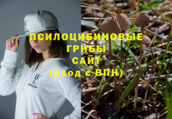 тгк Осташков