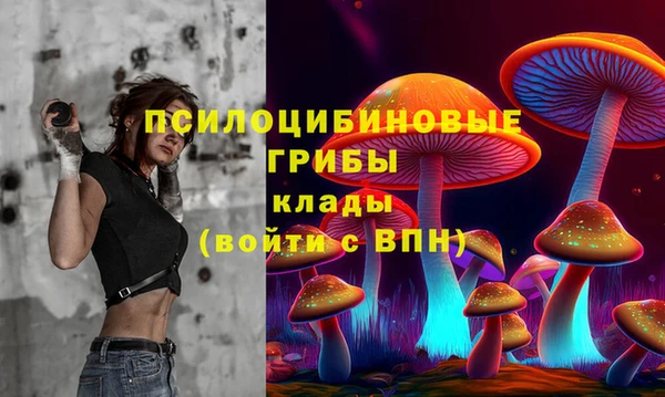 тгк Осташков