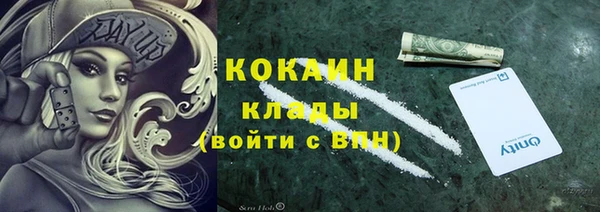 тгк Осташков