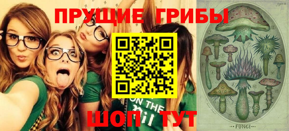 Псилоцибиновые грибы Cubensis  Вход с VPN  Шарыпово 