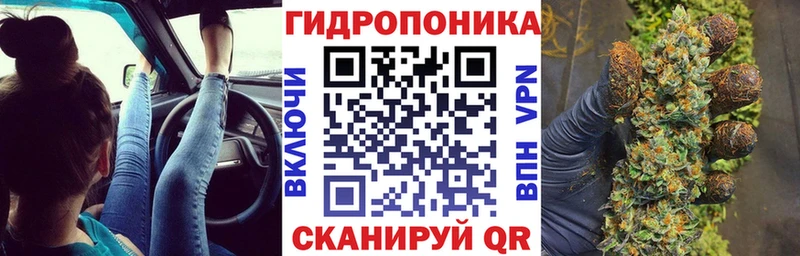 Бошки Шишки план Шарыпово