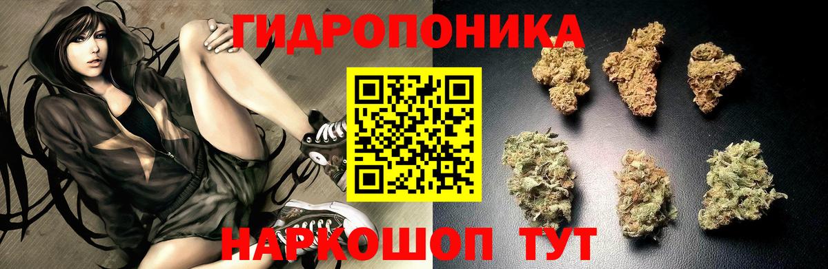 Шишки марихуана MAZAR Шарыпово